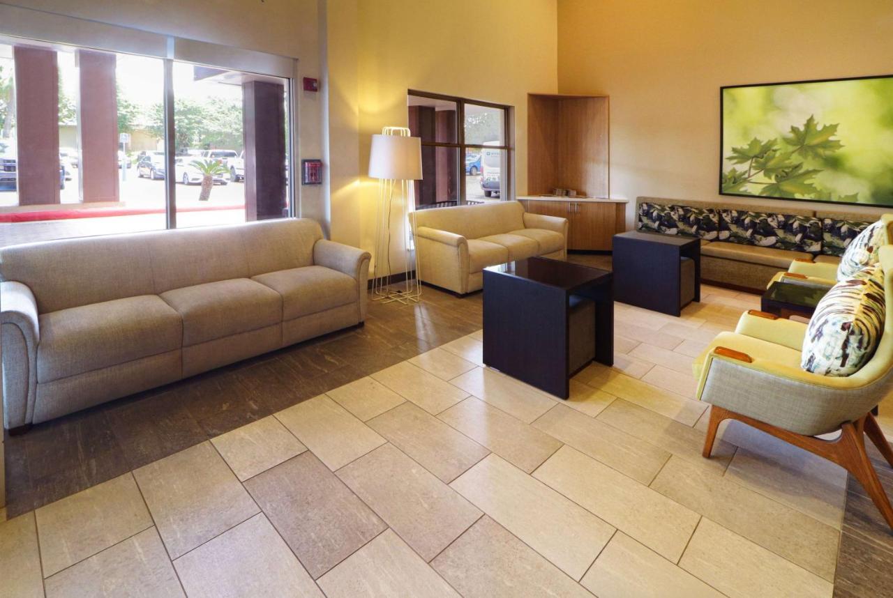 Wyndham Garden Mcallen At La Plaza Mall Экстерьер фото
